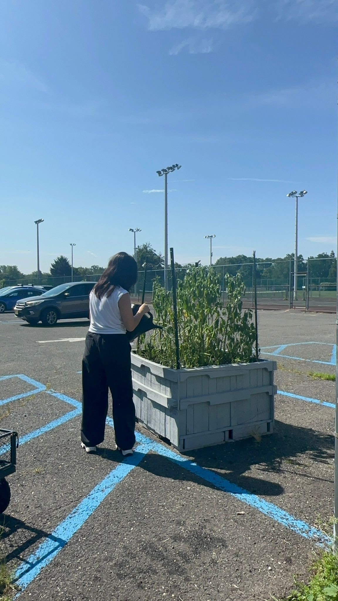 Bergen Community College student Jemima Falconi watering lettuce inside the hydroponics growing facility